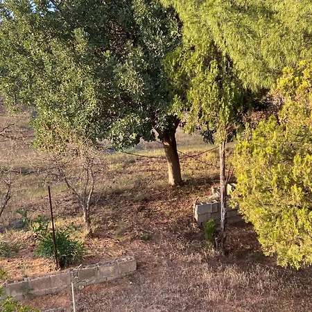 Paradiso كابيتانا