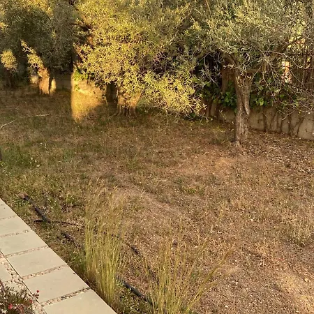 Paradiso بيت للعطل